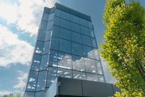 carvana-3